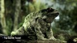 CryEngine 3 - Tech trailer