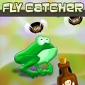 Fly Catcher