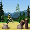 Dirt Bike 2