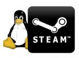 Steam pre Linux v open bete